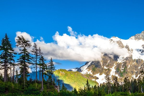 ColorHasher's tweet photo. hashtag(s): #Naturephotography, image source: pigdaddy63, image: https://t.co/IDSqeaVMBh, sampled colors: #3b303e #eae5e1 #578bc4 #5a5657 #074c2 #dc8 #9a5 #407d15 https://t.co/jJyTOA3ZwB