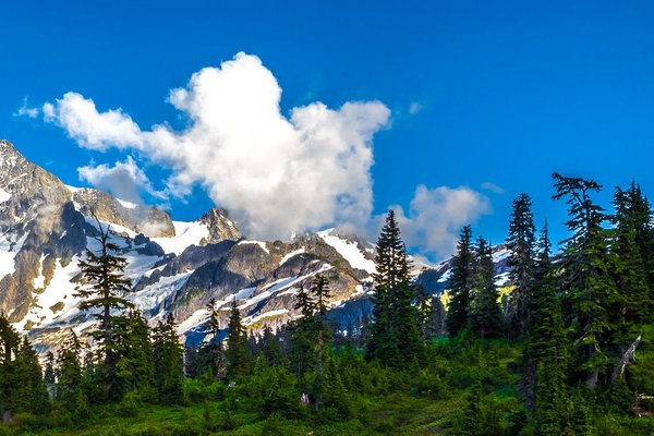 ColorHasher's tweet photo. hashtag(s): #Naturephotography, image source: pigdaddy63, image: https://t.co/IDSqeaVMBh, sampled colors: #3b303e #eae5e1 #578bc4 #5a5657 #074c2 #dc8 #9a5 #407d15 https://t.co/jJyTOA3ZwB