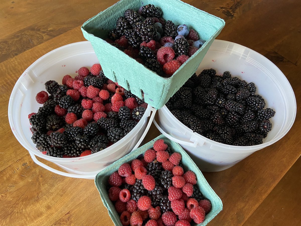 Tara Smith tweet media