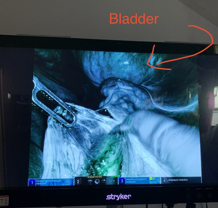 David Abramowitz tweet media