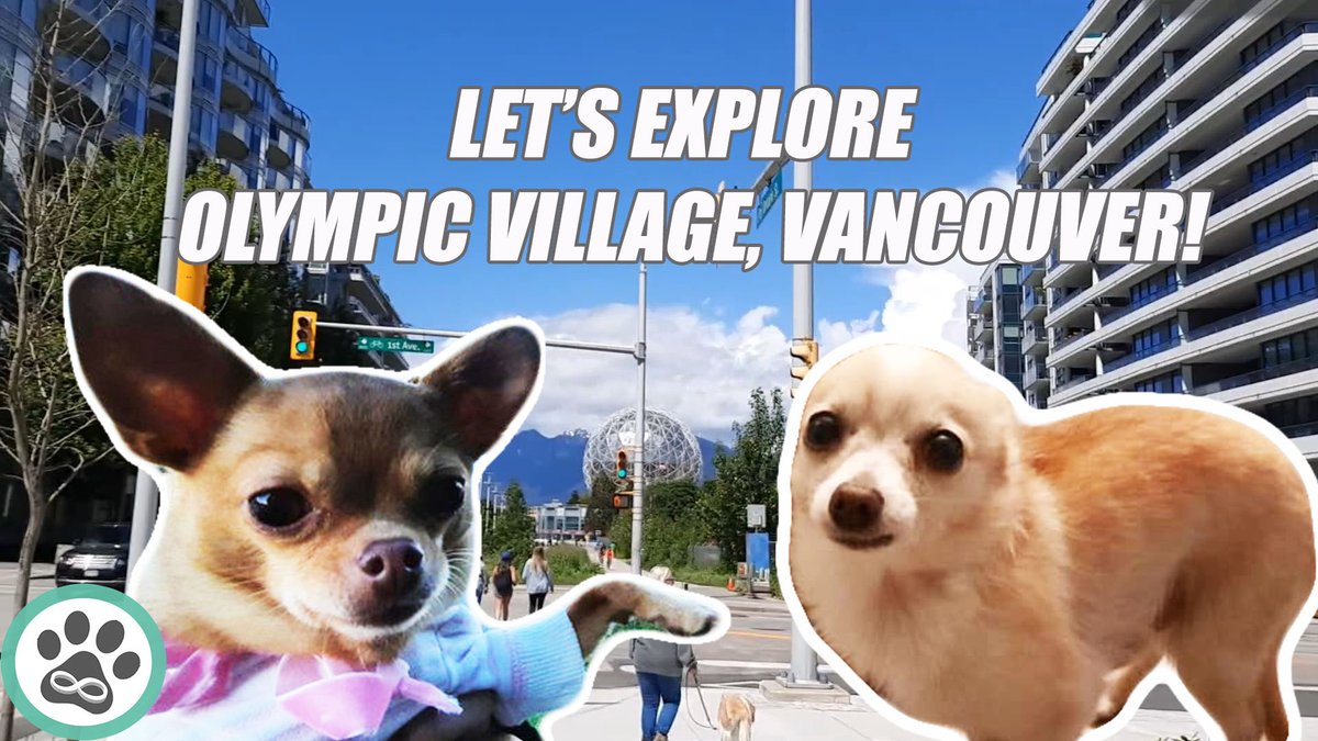 4evaPups's tweet photo. Come join #Butterz and #Minka in our #dogwalk as we #explore part of Olympic Village in #Vancouver, Canada: https://t.co/YSqUolqRmo
#cutedogs #dogsofinstagram #pomchi #Chihuahua #weekendvibes #weekendmood #Tourism #Canadian #4EVAPUPS https://t.co/QcUMnMe49H