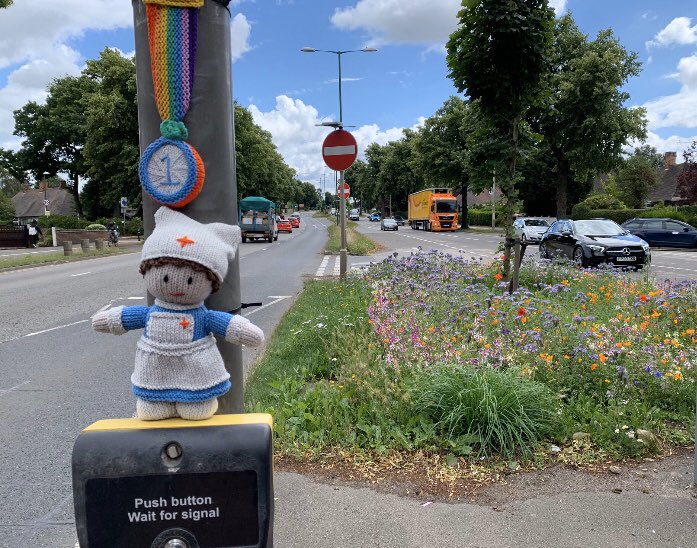 Nottingham City Council are helping bees, butterflies, wildflowers by friendly mowing #roadverges & public spaces. This is Middleton Boulevard central reservation looking exceptional. 🌷 
#GreenNottingham