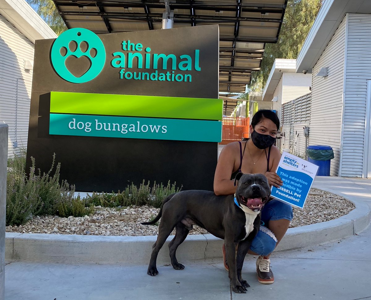 A few more adoption photos from yesterday 😊 Remember, waived adoption fees for dogs and cats over 6 months old continue through today and tomorrow! Call (702) 955-5901 to set up an appointment to meet a new furry friend today!

Thank you @BISSELLPets! #emptytheshelter