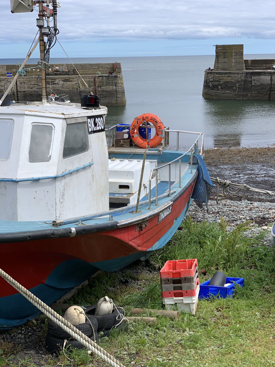 Jason Adams tweet media