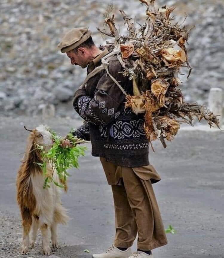 “Hâl iledir, kâl ile olmaz” derler.

Hâl, davranış; kâl, söz demektir. İki sözcük de dilimize Arapçadan geçmiştir.

İnsanların ne söylediğine değil, ne yaptığına bakın. Zira biri olmak istediği, diğeri olduğudur.