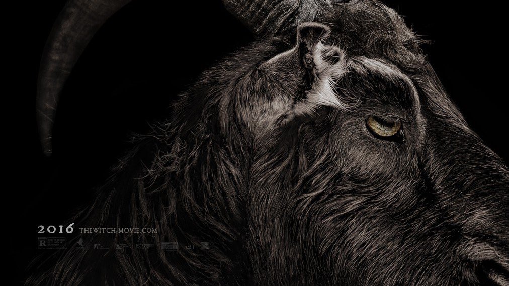 LostInFilm's tweet photo. A24 likes animals https://t.co/6Djrp31Btz