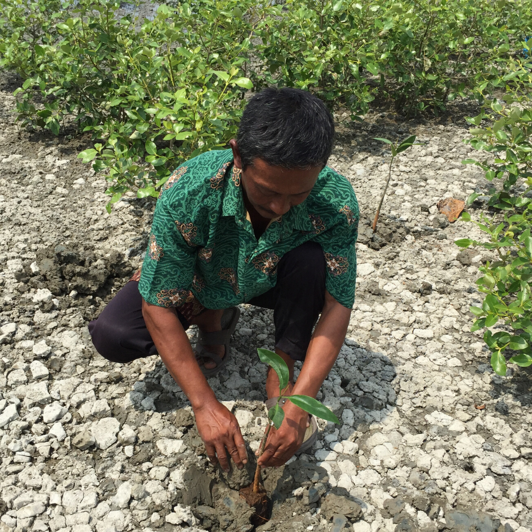 It's #WorldPopulationDay!🌏 Today, we are celebrating the steps being taken towards combatting population issues. Find out more about our sustainable development initiatives here: prawns.link/wrq