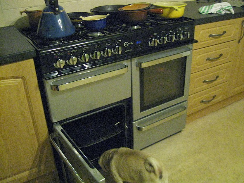 Sallypug's tweet photo. When you have to take your own dinner out of the oven....#staffproblems https://t.co/SIRYnkoCjv