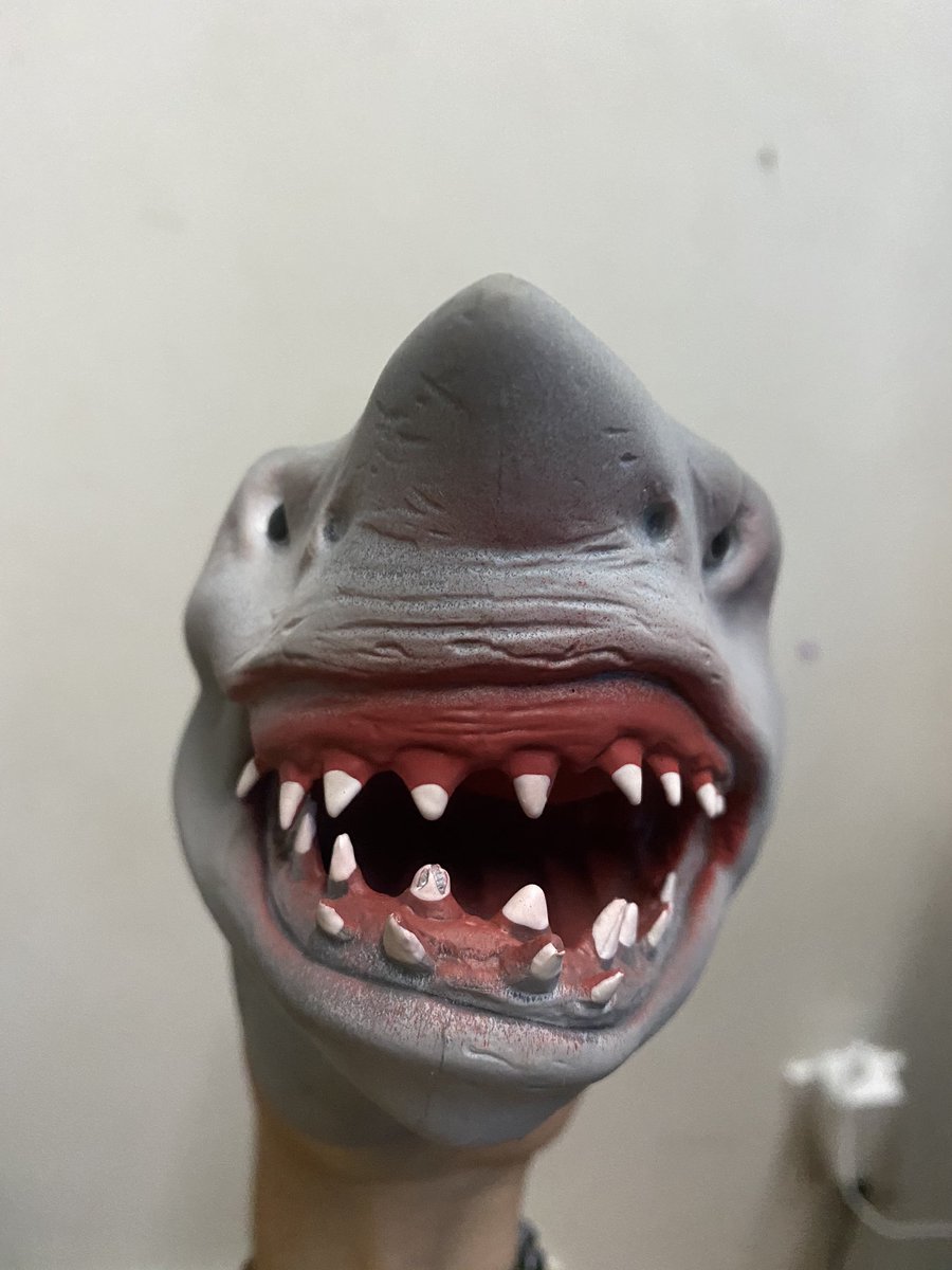 Shark Puppet (@thesharkpuppet) / Twitter