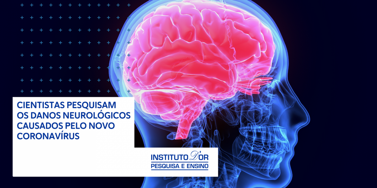 Institutodor's tweet photo. Estudos recentes classificam em 3 estágios os danos cerebrais causados pela Covid-19  https://t.co/72Pa6ifHp9 https://t.co/EJBhLFBvSX