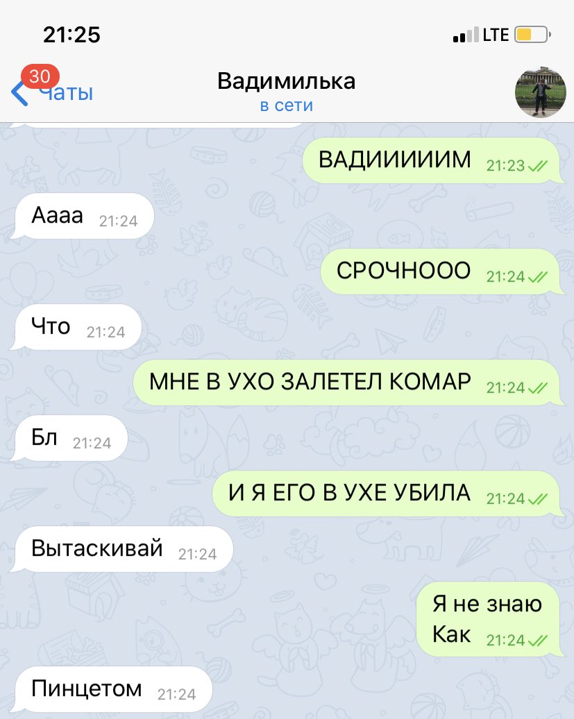 Dasha_Potato's tweet photo. Миниатюра: я и моя удачливость https://t.co/vFuqCFWjk1