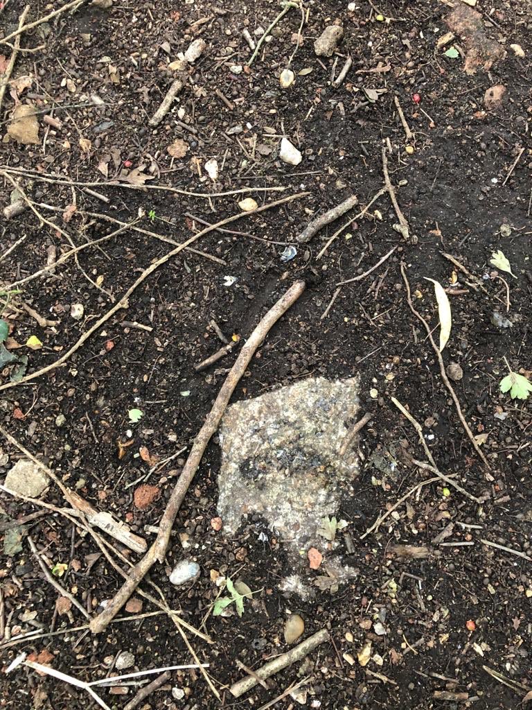 Nature Ninja tweet media