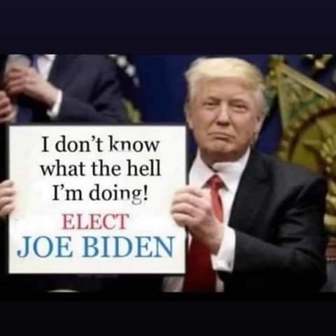 LouisLittleDone's tweet photo. @realDonaldTrump https://t.co/OTD6vBAI9Y