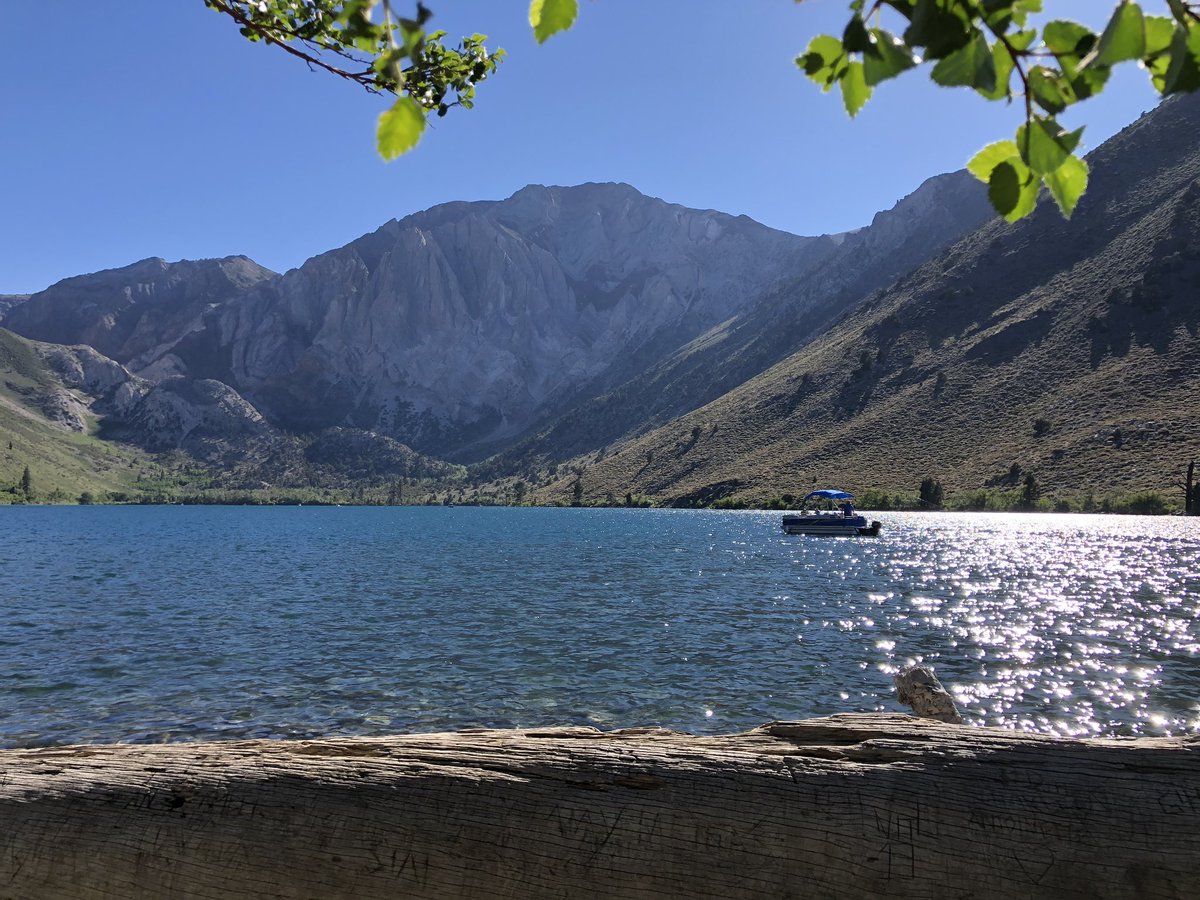SobanUmar's tweet photo. A #Wellness break during the pandemic 🌲🌻🐟🦌🐾
#MammothLakes #SierraNevada #COVID19 #CovidGetAway https://t.co/bs5BTJVc5i