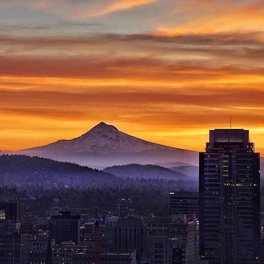 GoDucksnet's tweet photo. Oregon brah https://t.co/5FWv0LclQm