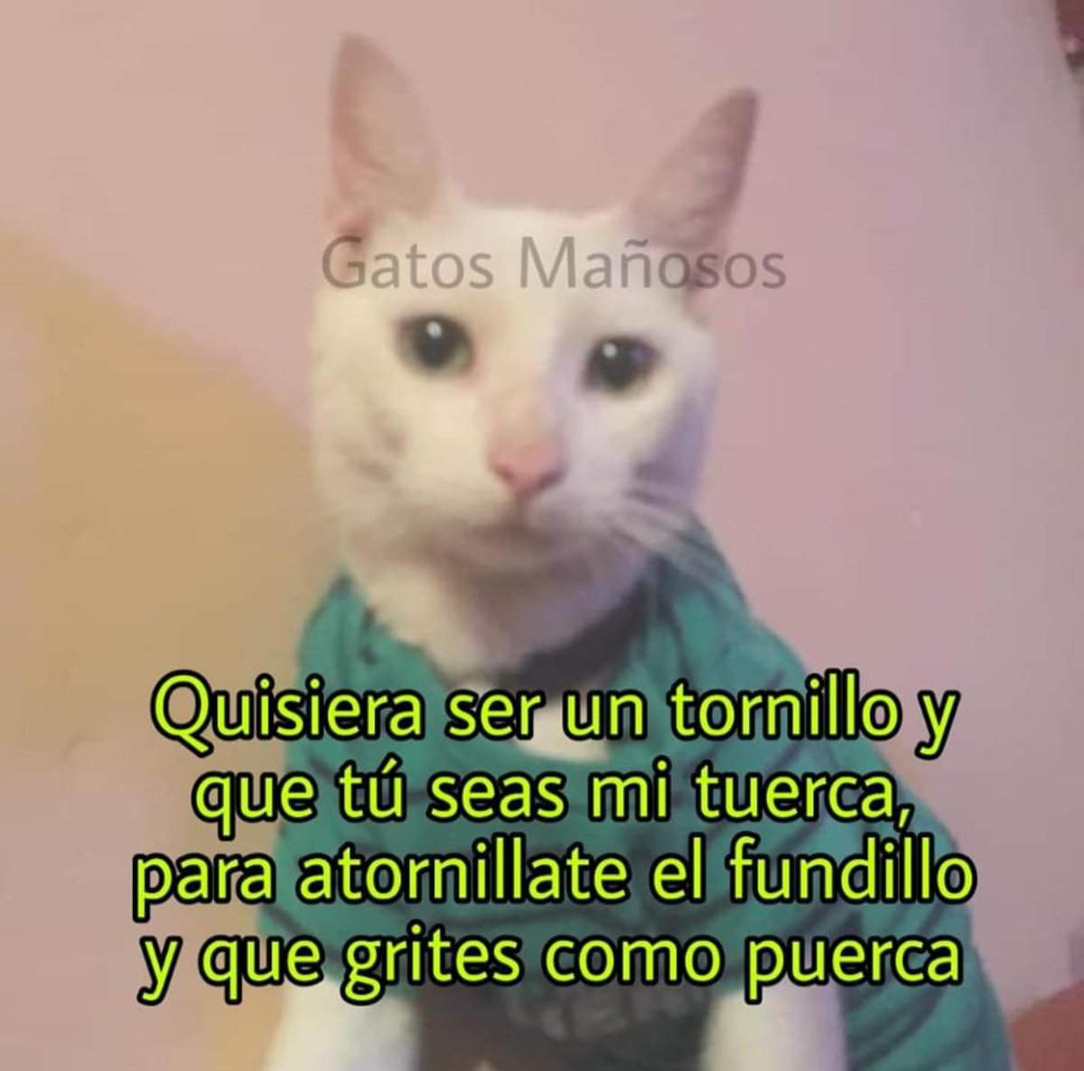 RenBerumen1's tweet photo. #QuedateEnCasa #disfrutalafruta jajajajaja https://t.co/I5BcFwzC5t