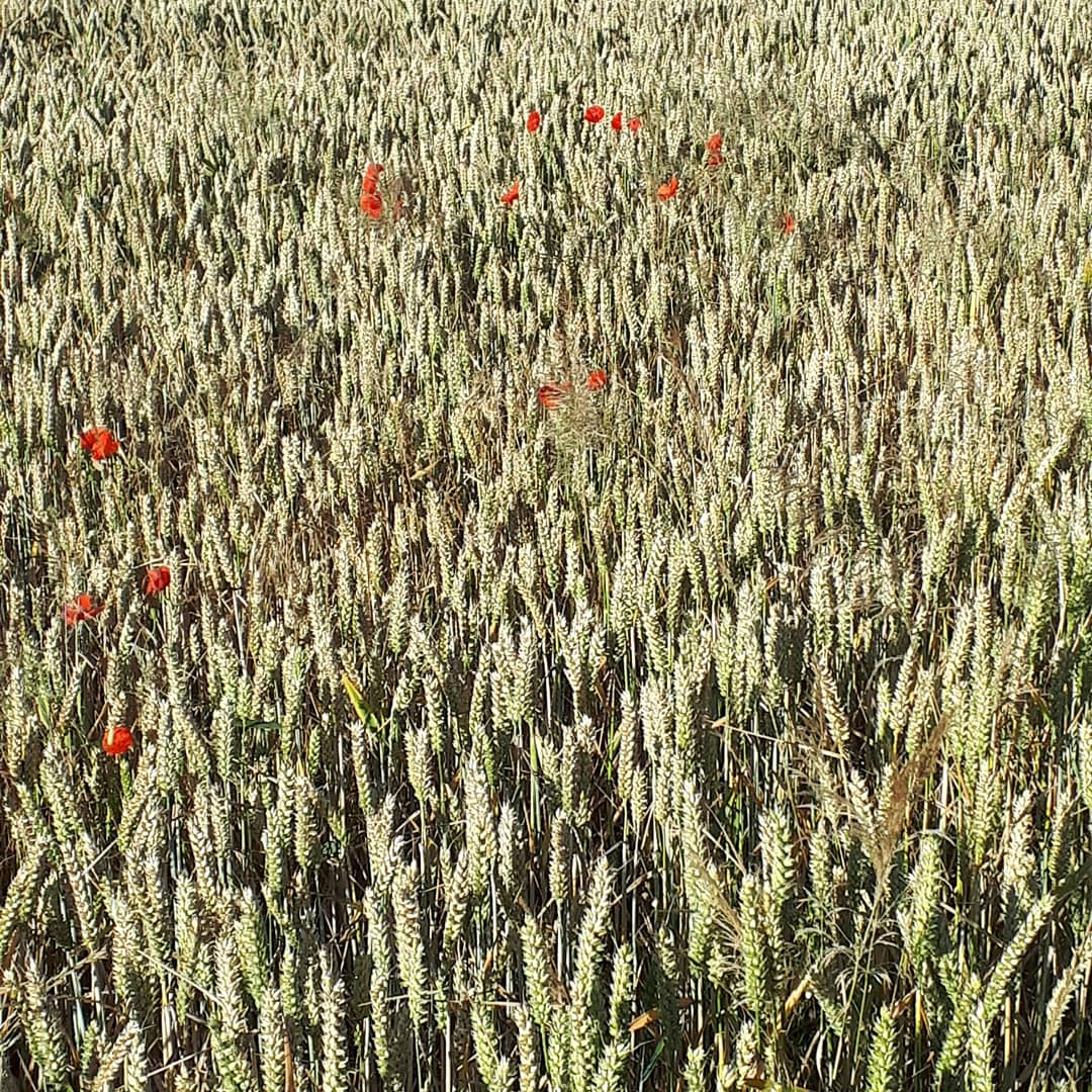 Emmy Perkins tweet media