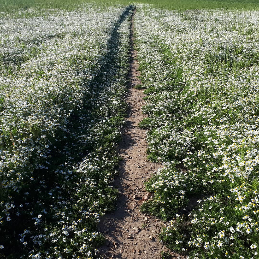 Emmy Perkins tweet media