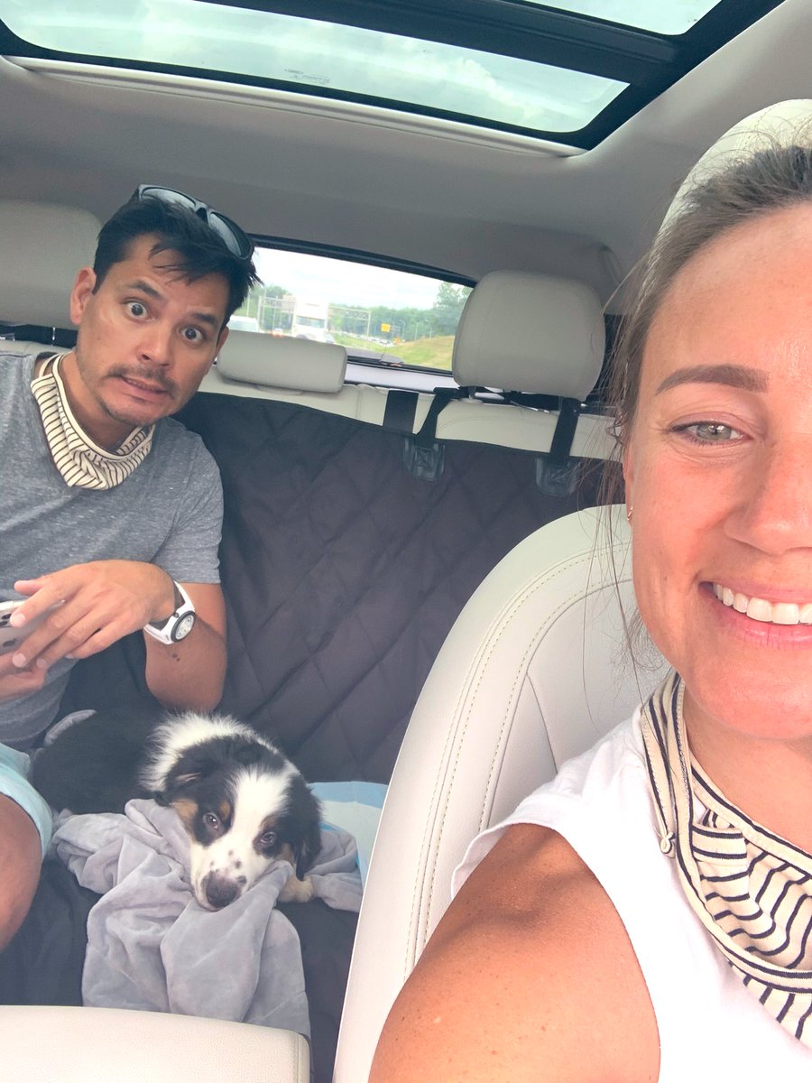 JanaeR64's tweet photo. Twitter, meet Hudson, a new addition to our family ❤️ #miniaussieshepard #blacktriaussie #HudsonOneHaleofaPup https://t.co/NTfQpJvLKI