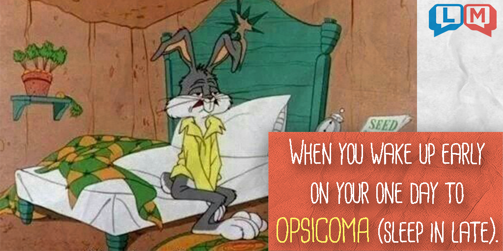 lingomania's tweet photo. Did anyone else wake up WAY too early this morning? πππ
Grab your copy of Ignatius Shoestringβs NEW book at https://t.co/thxL70oGCy!
#Morning #sleep #sleepinlate #wakeup #funny #meme #fun https://t.co/Hl9S31UiWH