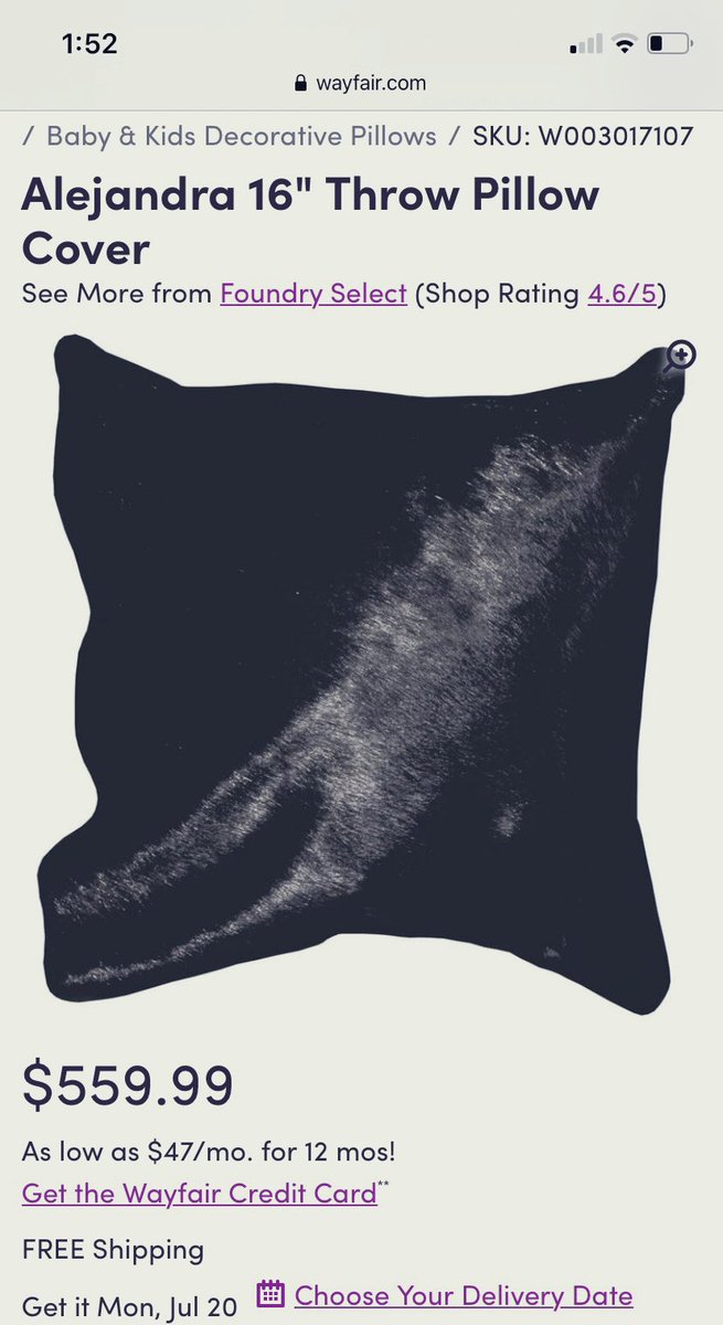 Lvaughn411's tweet photo. @WiscDemocracy @Inevitable_ET Another thing I just found on #Wayfair ~ this is beyond evil. $$559.99 for an ugly pillow? #WayfairChildTransactionList https://t.co/nkRSxTqQAJ