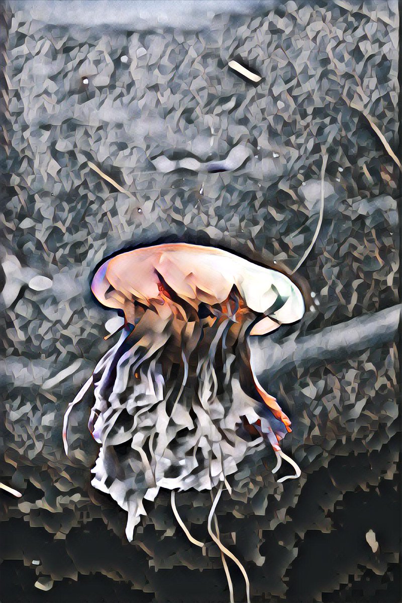 AI_Artify's tweet photo. 'Udnie' art style applied to a photo by Vino Li. 
Original: https://t.co/b9dHwnd22V 
 #tensorflow #styletransfer https://t.co/rSLvKTMJLh