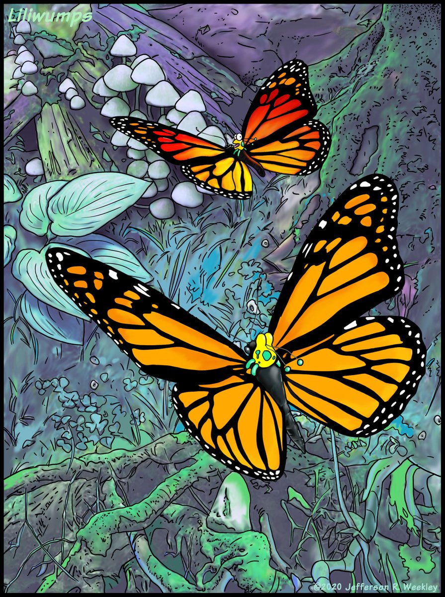 Nawalli777's tweet image. #butterfly #liliwumps #weekley #art #illustration #cartoon #comic #drawing