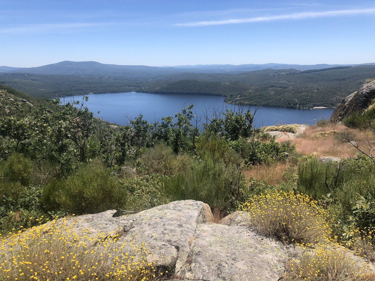 ZamoraTrailAMZ's tweet photo. 1º entreno homenaje post-covid a nuestros compañeros en el escenario único del #LagoDeSanabria conmemorando la @CarreraSanabria la cual se hubiese celebrado otra longeva edición ➡️ https://t.co/A3WJe1sasT #ZamoraTrail #ZamoraTrailAMZ #Sanabria #Zamora #CastillayLeón #CyL #España https://t.co/CyTRwKaV8B