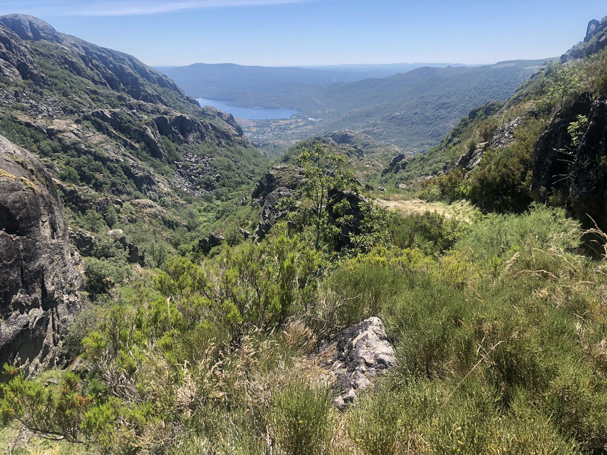 ZamoraTrailAMZ's tweet photo. 1º entreno homenaje post-covid a nuestros compañeros en el escenario único del #LagoDeSanabria conmemorando la @CarreraSanabria la cual se hubiese celebrado otra longeva edición ➡️ https://t.co/A3WJe1sasT #ZamoraTrail #ZamoraTrailAMZ #Sanabria #Zamora #CastillayLeón #CyL #España https://t.co/CyTRwKaV8B