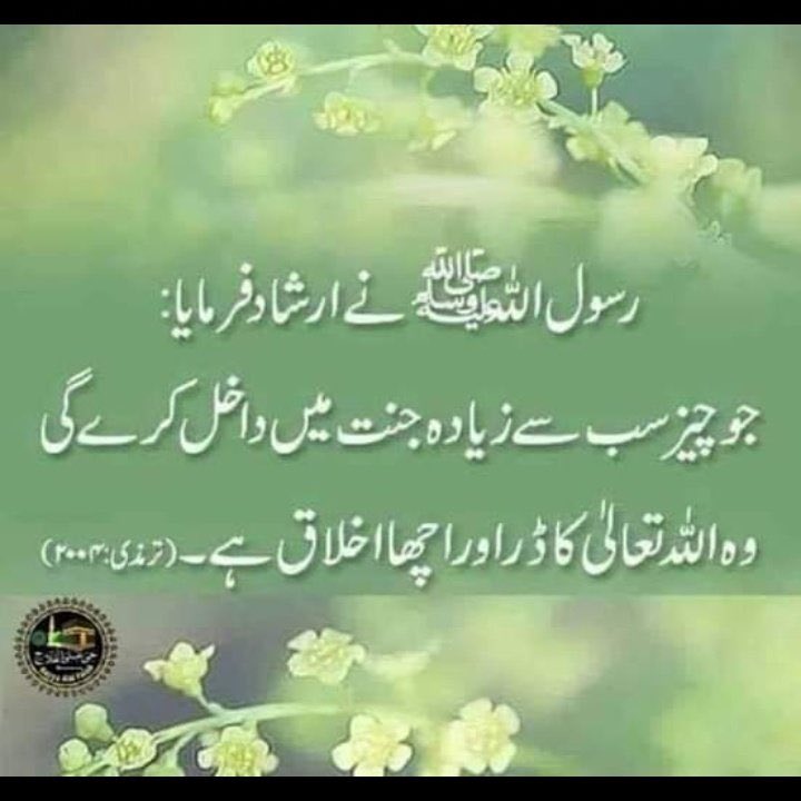 DR ABBAS tweet media