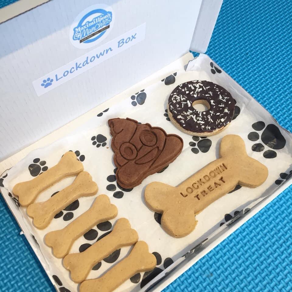 Lockdown boxes 📦🐶