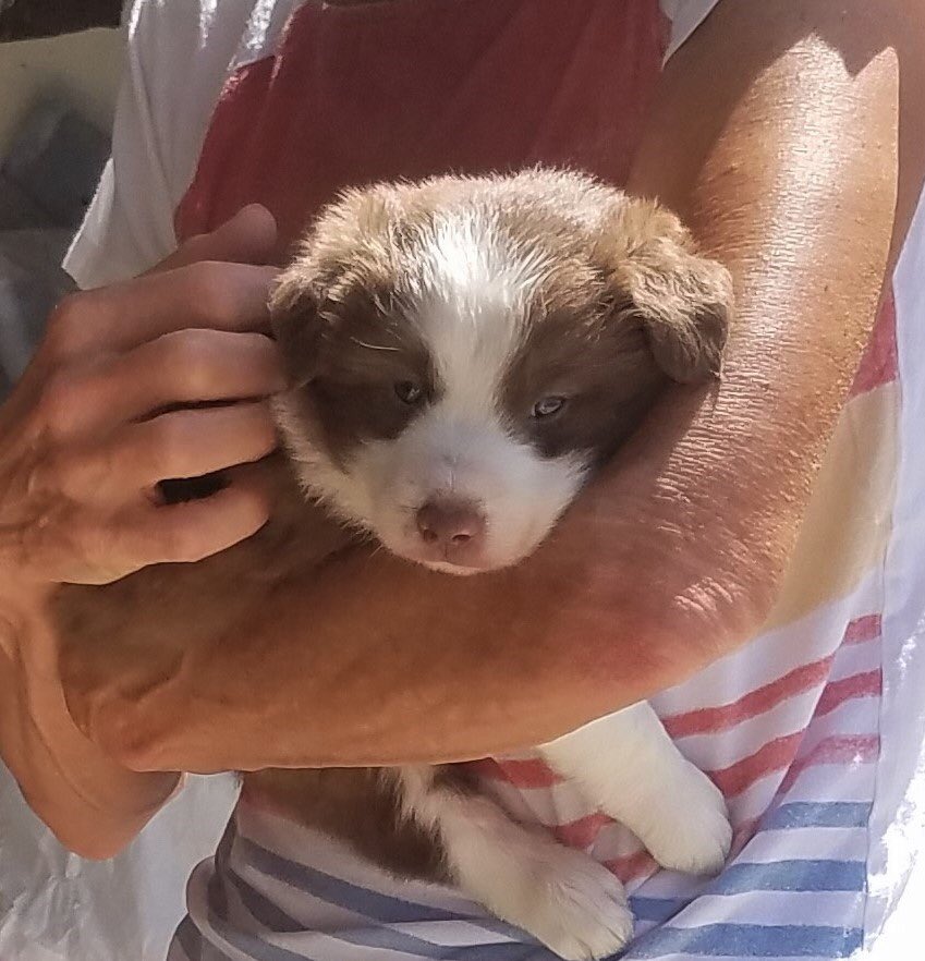 Linda Kaye tweet media