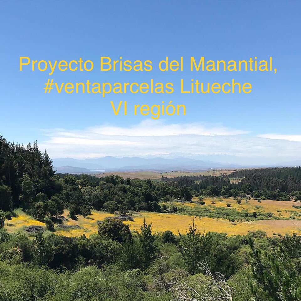 DaisyAlejandra's tweet photo. Venta de parcelas!! escríbenos a ddiaz@ranquilco.cl o MD y responderemos a la brevedad!ayúdenme con RT!
#parcelas #terrenos #parcelaschile #Litueche #Pichilemu #Coinco #Laestrella #VIregión #playa #descanzo #naturaleza https://t.co/1v4GmlaCaf
