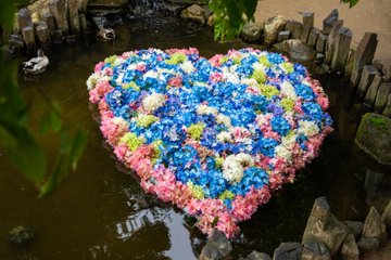 雨引観音あじさい22の見頃やライトアップはいつまで 御朱印や駐車場も