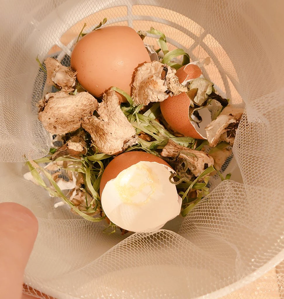 助成金が出るところが多いらしい。「生ゴミを乾燥してくれる機械」虫も匂いも気にならなくなる。