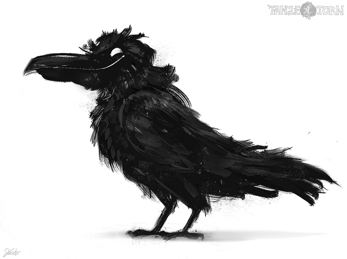 tangletorn's tweet photo. All scruff no fluff https://t.co/3XKjMmZoOf