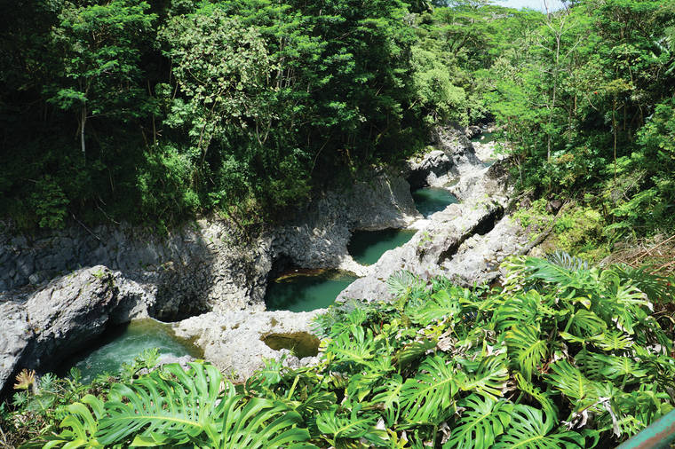 westhawaiitoday's tweet photo. Volcano Watch
https://t.co/shrcJ3Ic0z
#VolcanoWatch #WailukuRiver #BoilingPots https://t.co/wLT0Y85UHw