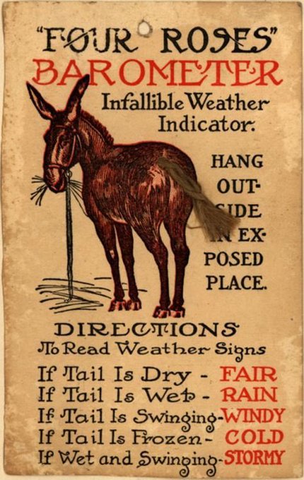 all this hot and weird weather has me thinking about the donkey barometer I had growing up. A form of the joke "weather rock" but better, because of donkeys. 
