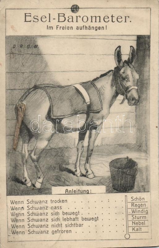 international donkey barometers 