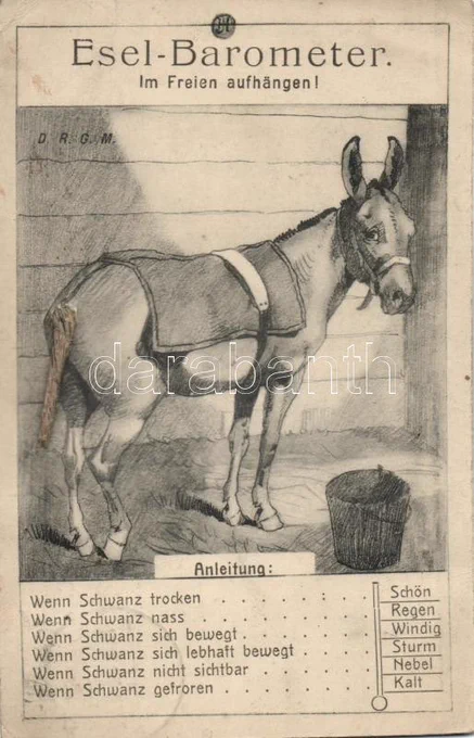 international donkey barometers 