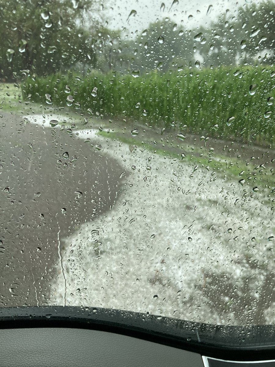 Jason Portner tweet media