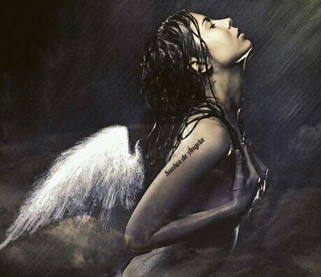 Suenos De Angel No Multimenciones No Dm No Twitter Corazones Aferrate A Los Suenos Por Si Ellos Mueren La Vida Se Convierte En Un Pajaro Con Alas Rotas Que Deja De