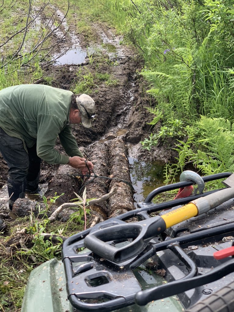 gomer2323's tweet image. Getting some trail work done today. #Alaska #HuntingPrep