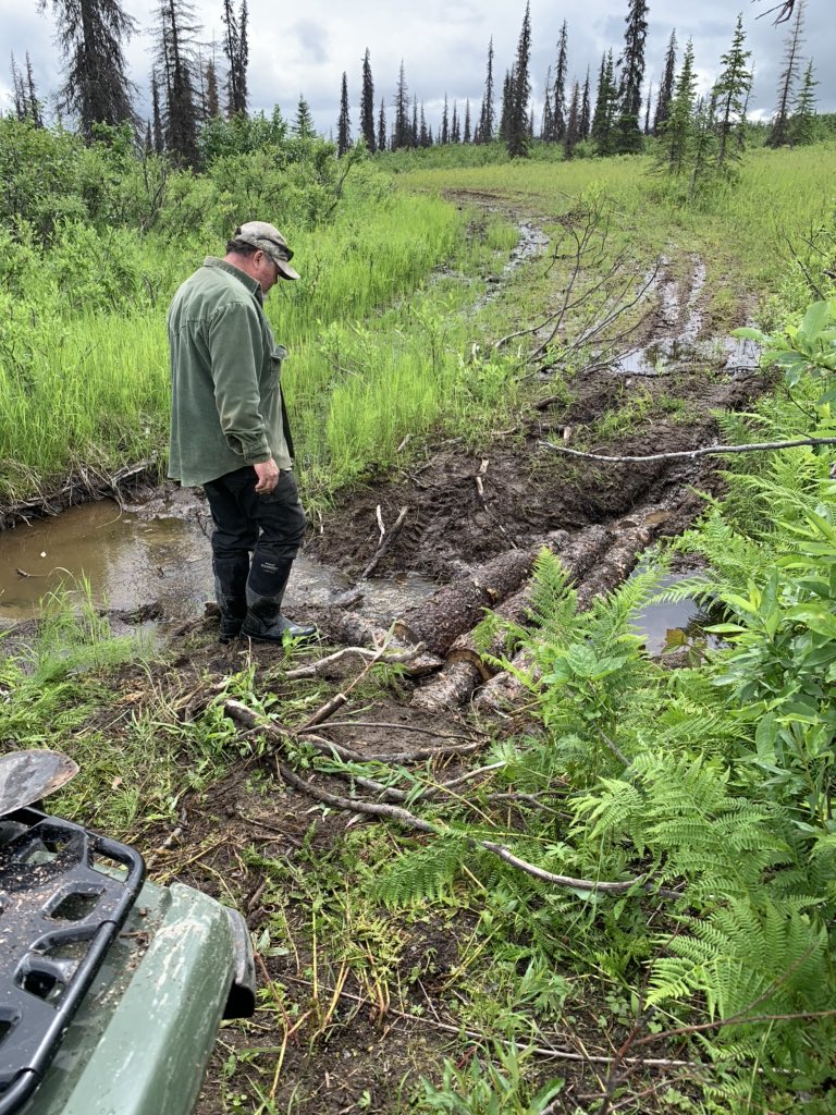 gomer2323's tweet image. Getting some trail work done today. #Alaska #HuntingPrep