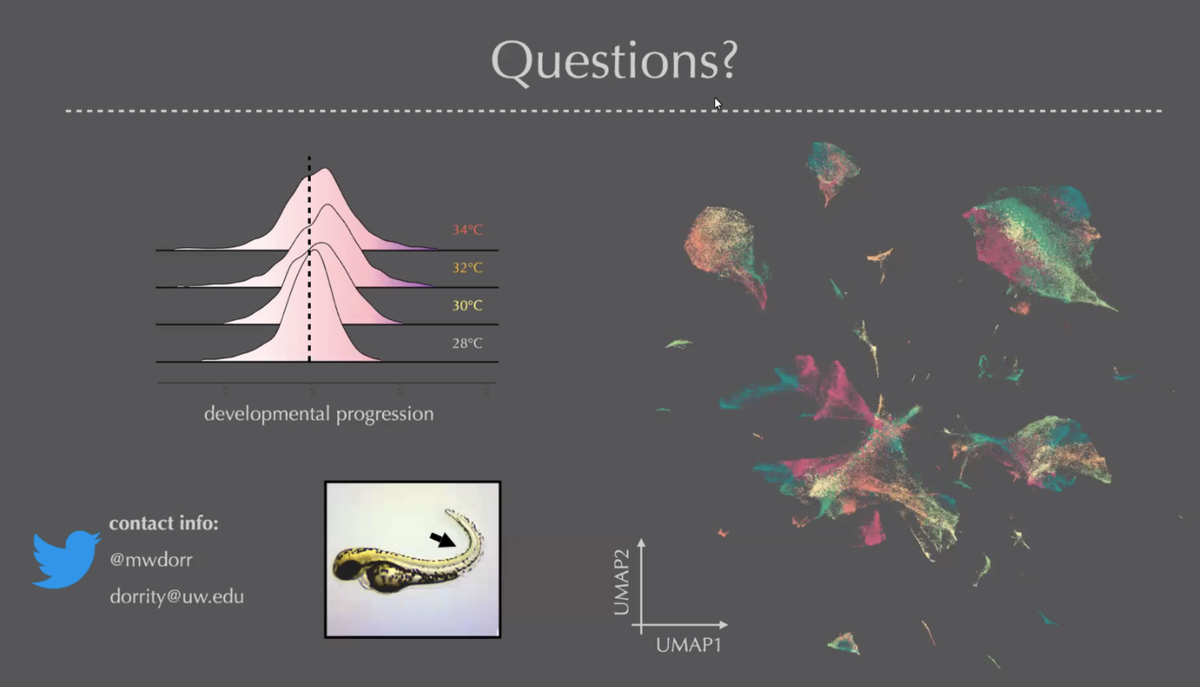 A. Sánchez Alvarado (@planaria1) on Twitter photo Climate change, temperature & embryogenesis. Concurrent 9 #2020SDB
Michael Dorrity <a href="/mwdorr/">Michael Dorrity</a> shares his findings on how temperature stress introduces variability in embryogenesis via cell type-specific effects on developmental rate.
@___SDB___ Climate change, temperature & embryogenesis. Concurrent 9 #2020SDB
Michael Dorrity <a href="/mwdorr/">Michael Dorrity</a> shares his findings on how temperature stress introduces variability in embryogenesis via cell type-specific effects on developmental rate.
@___SDB___
