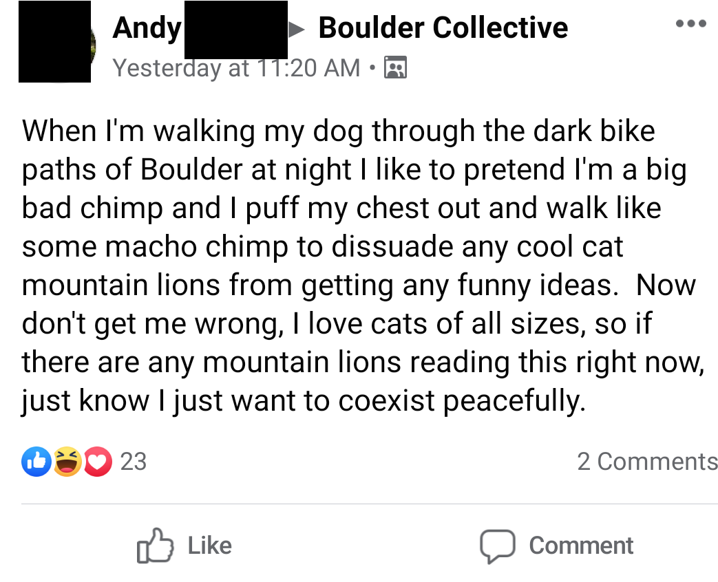 if any mountain lions are reading this...