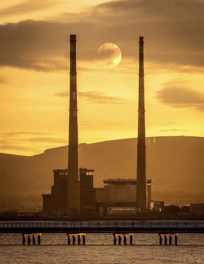 #mylifeinpictures #7dayphotochallenge. Rules: no words, no people. Day 3/7 Nominated by <a href="/DonnaCambo/">Donna Campbell</a> !