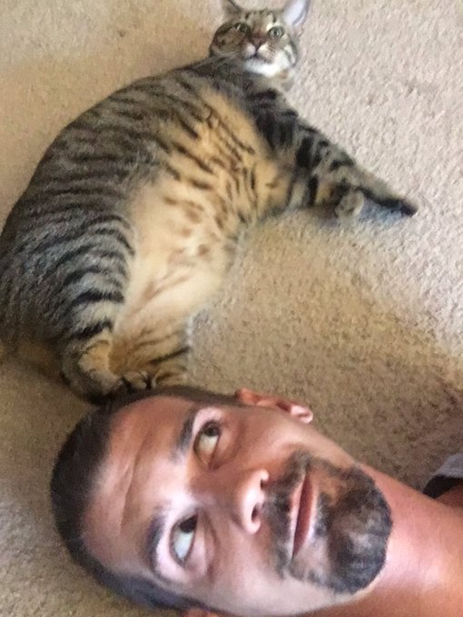 So happy to be home. Im greeted with cat 🐾 on my head. https://t.co/fV8o7MtK6F