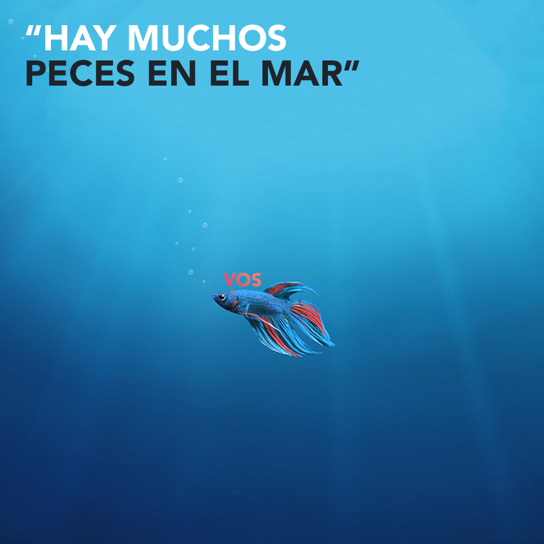SelberApp's tweet photo. ¿Haz sido victima del "hay muchos peces en el mar"? Te presentamos Selber, la app de citas más exclusiva de Buenos Aires. #SELBERAPP #BuenosAires #Palermo #App #Citas https://t.co/CbSZv6jvtl