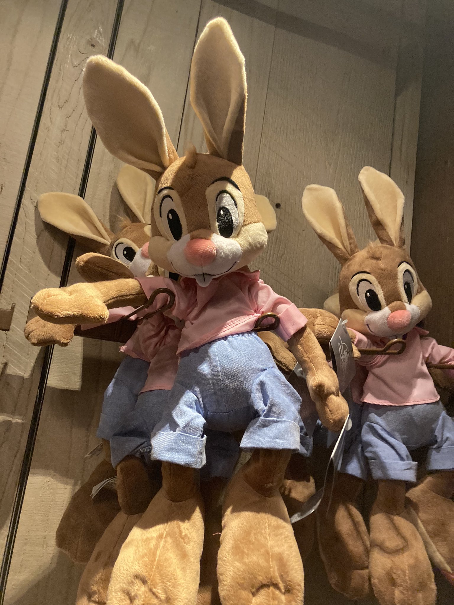 東京ディズニーリゾート スプラッシュマウンテン うさぎどん T